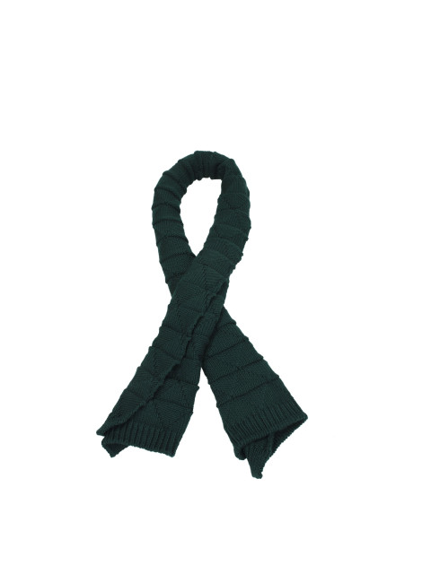[Bottega Veneta] Scarf SS25 665589V17J03051