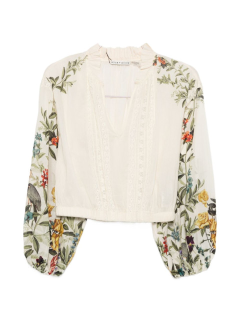 ALICE+OLIVIA CC606P13009 E256