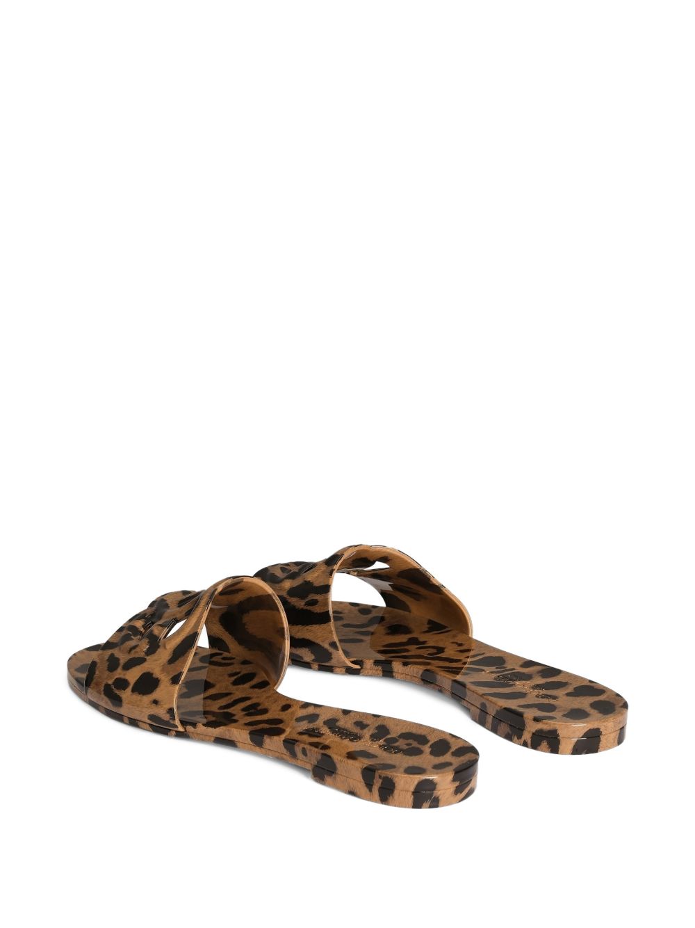 DOLCE & GABBANA CW2215 A0017HY13M