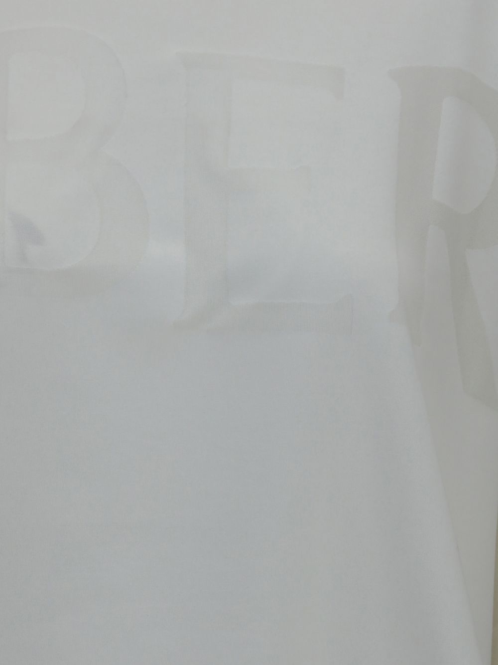 BURBERRY 8125870 B7078