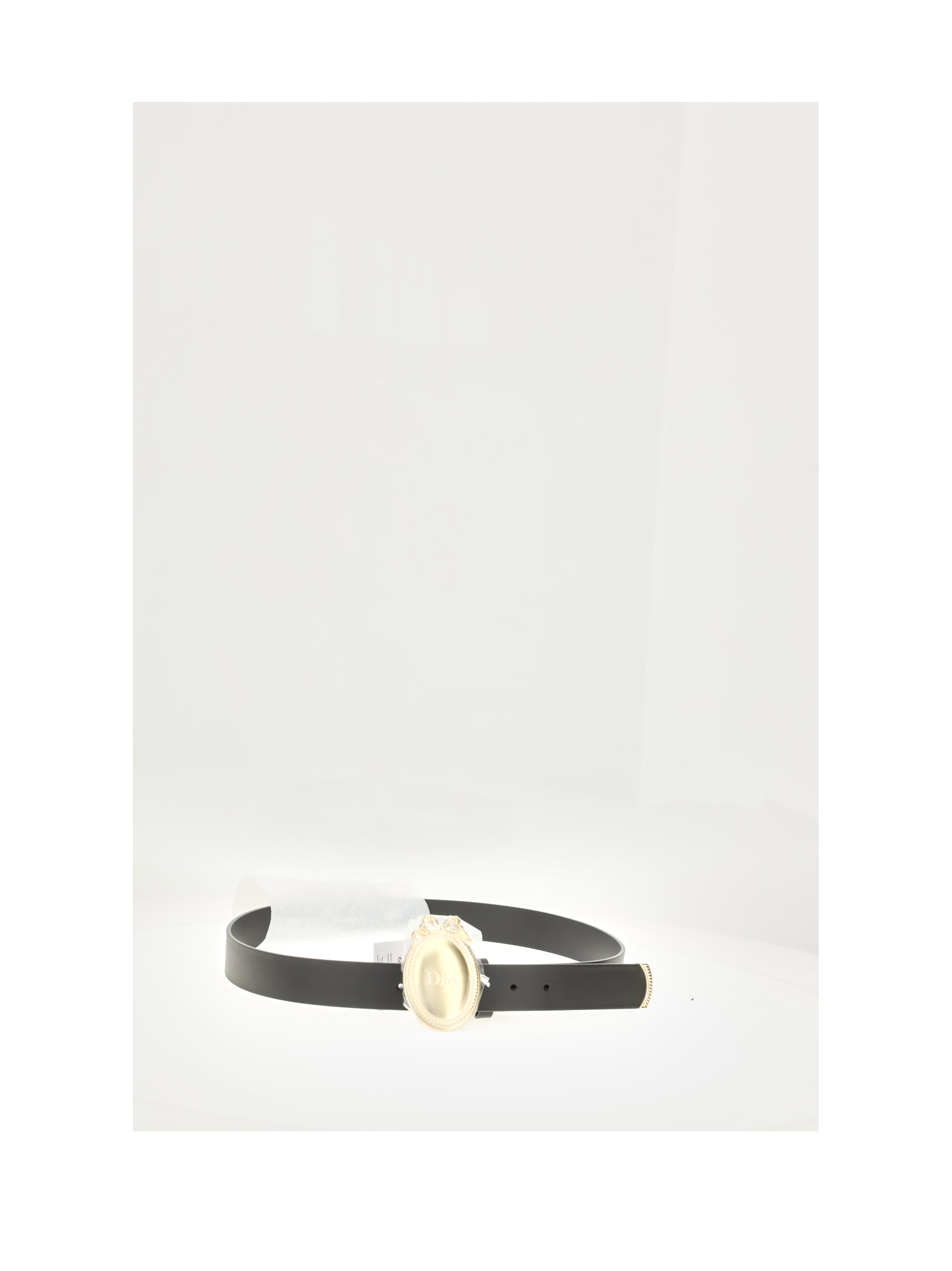 MADALLION BELT