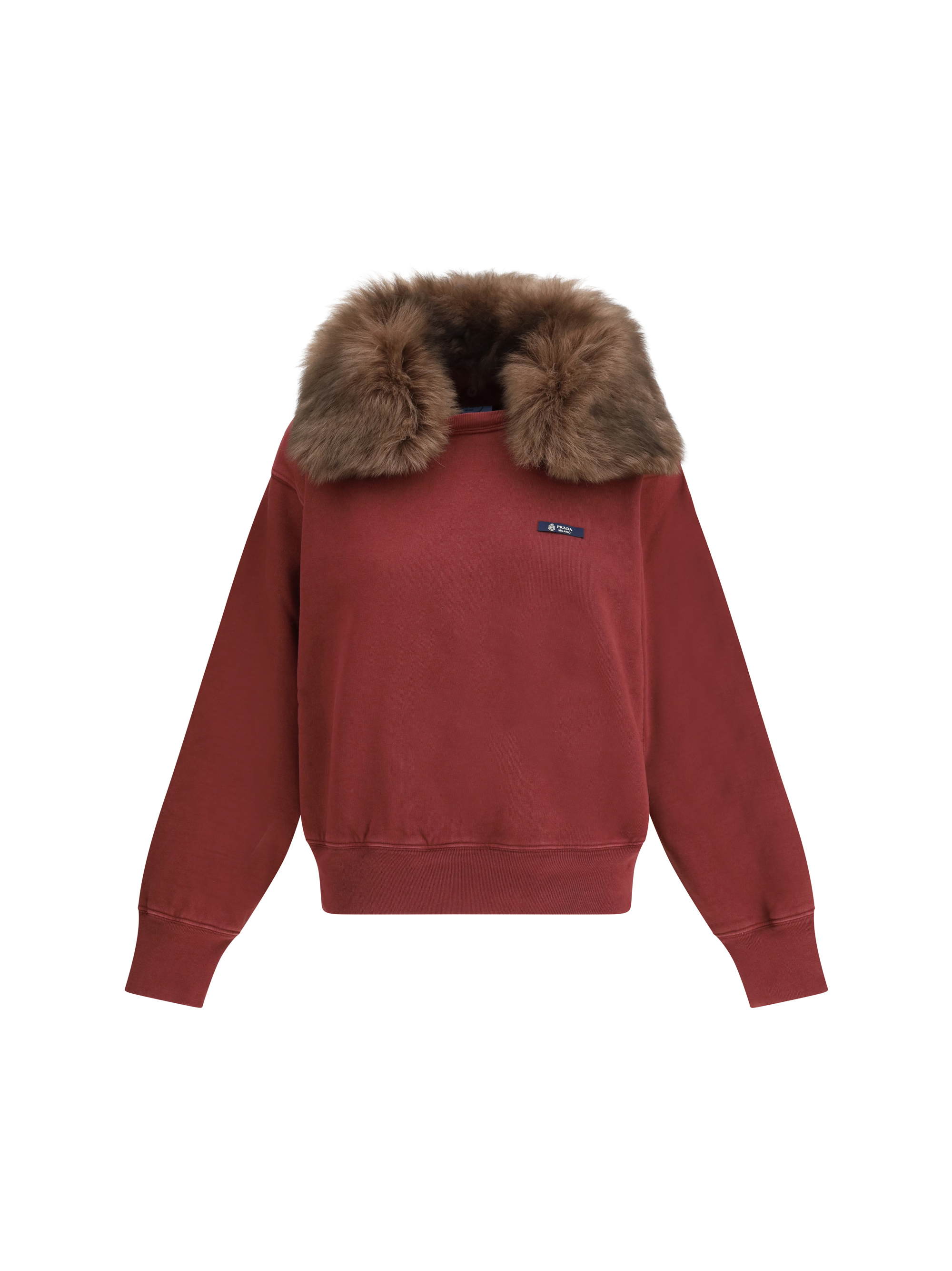 Sweatshirt with a shearling collar