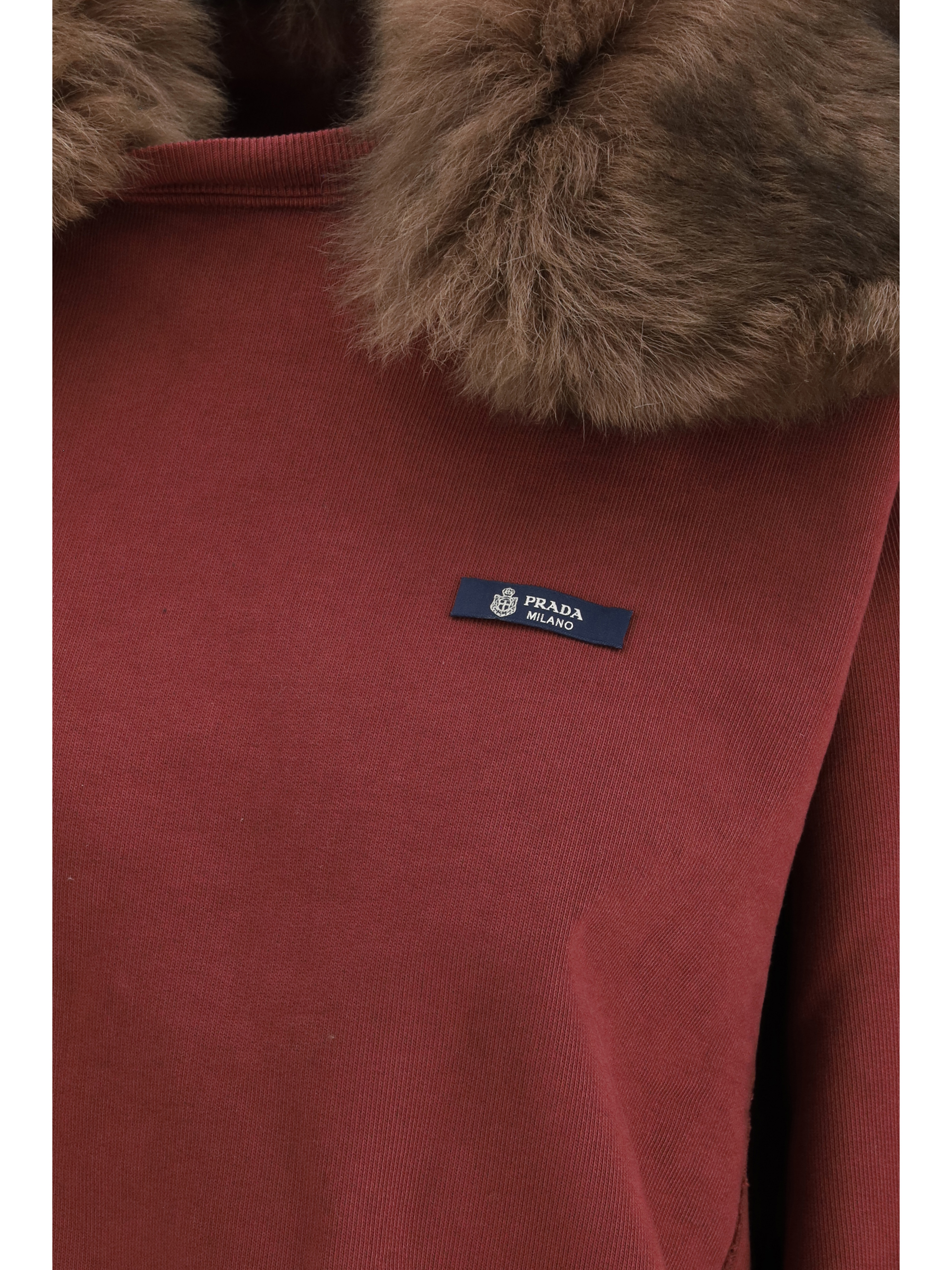 Sweatshirt with a shearling collar