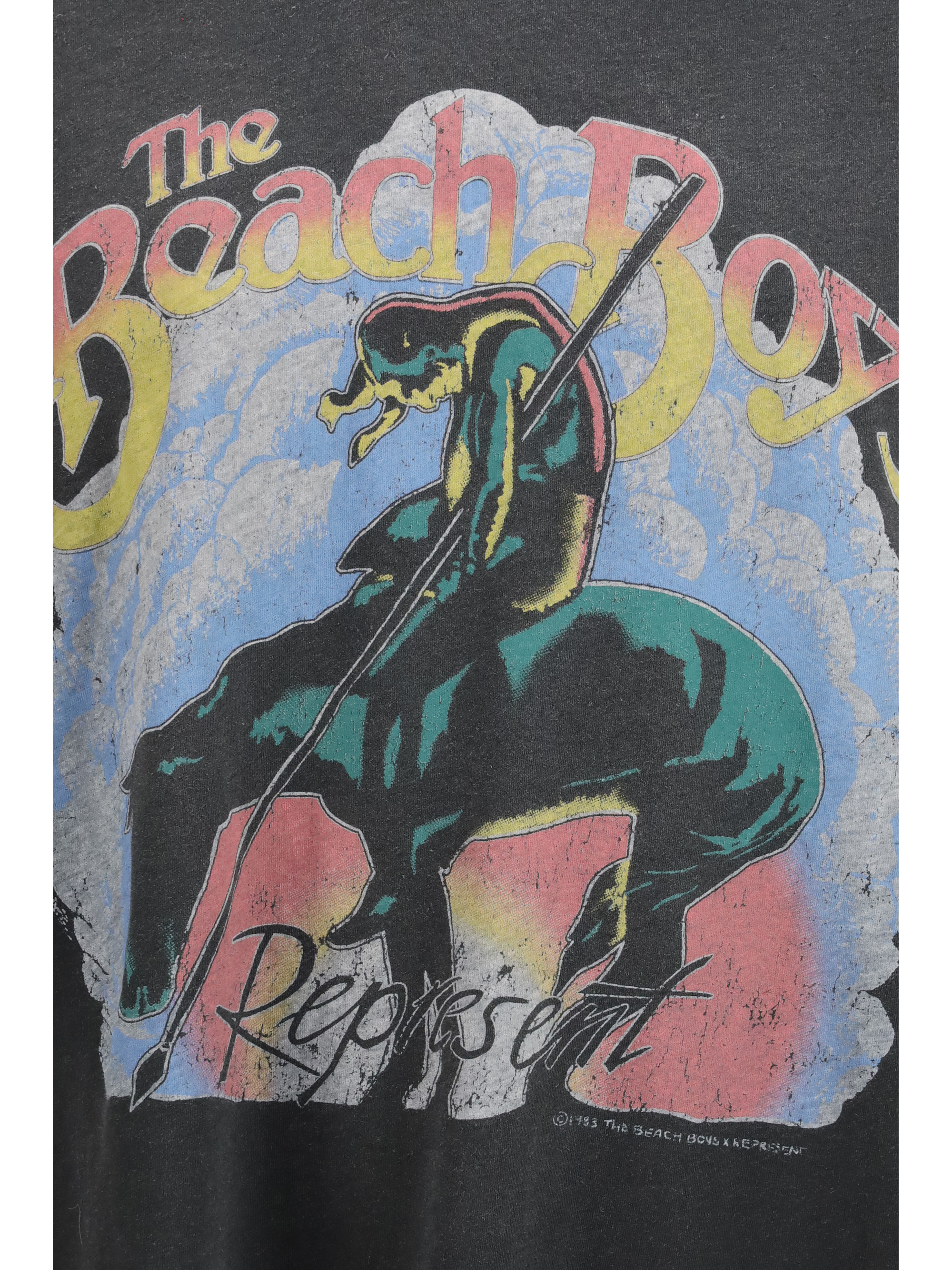 Beach Boys Endless Summer T-shirt