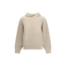 Sparkling Net cotton hooded Sweatshirt