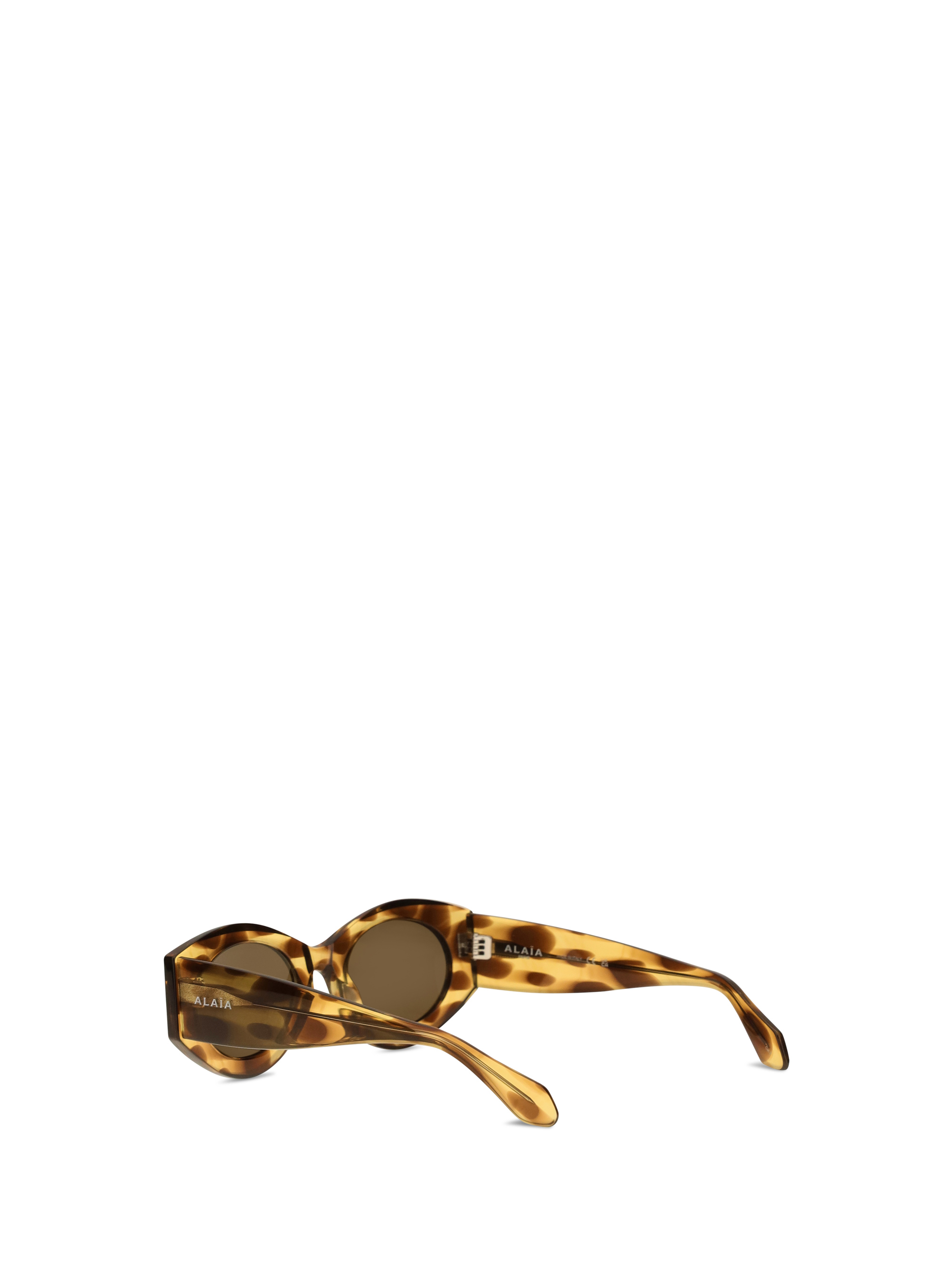 Oval Sunglasses