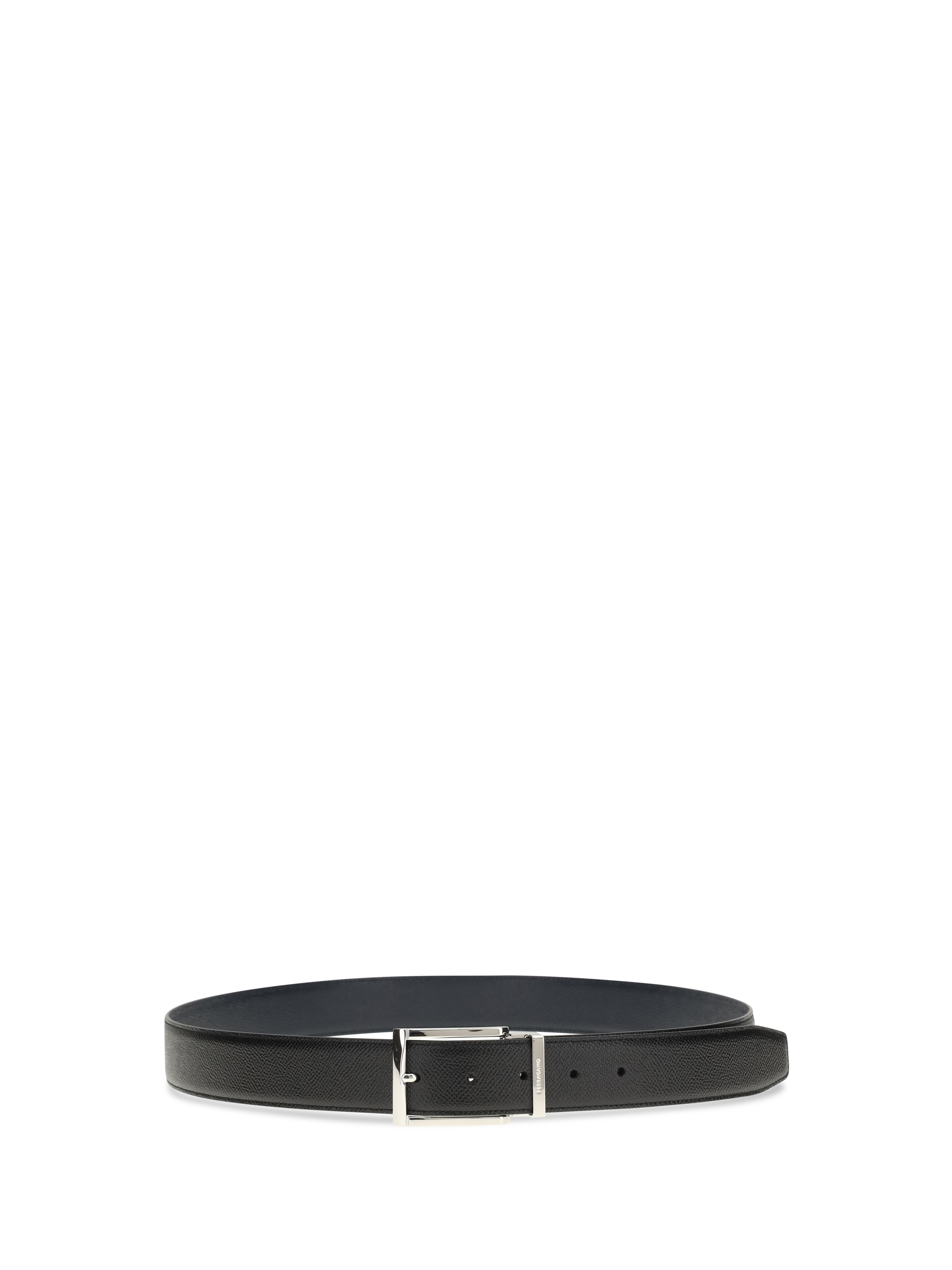 Reversible Belt