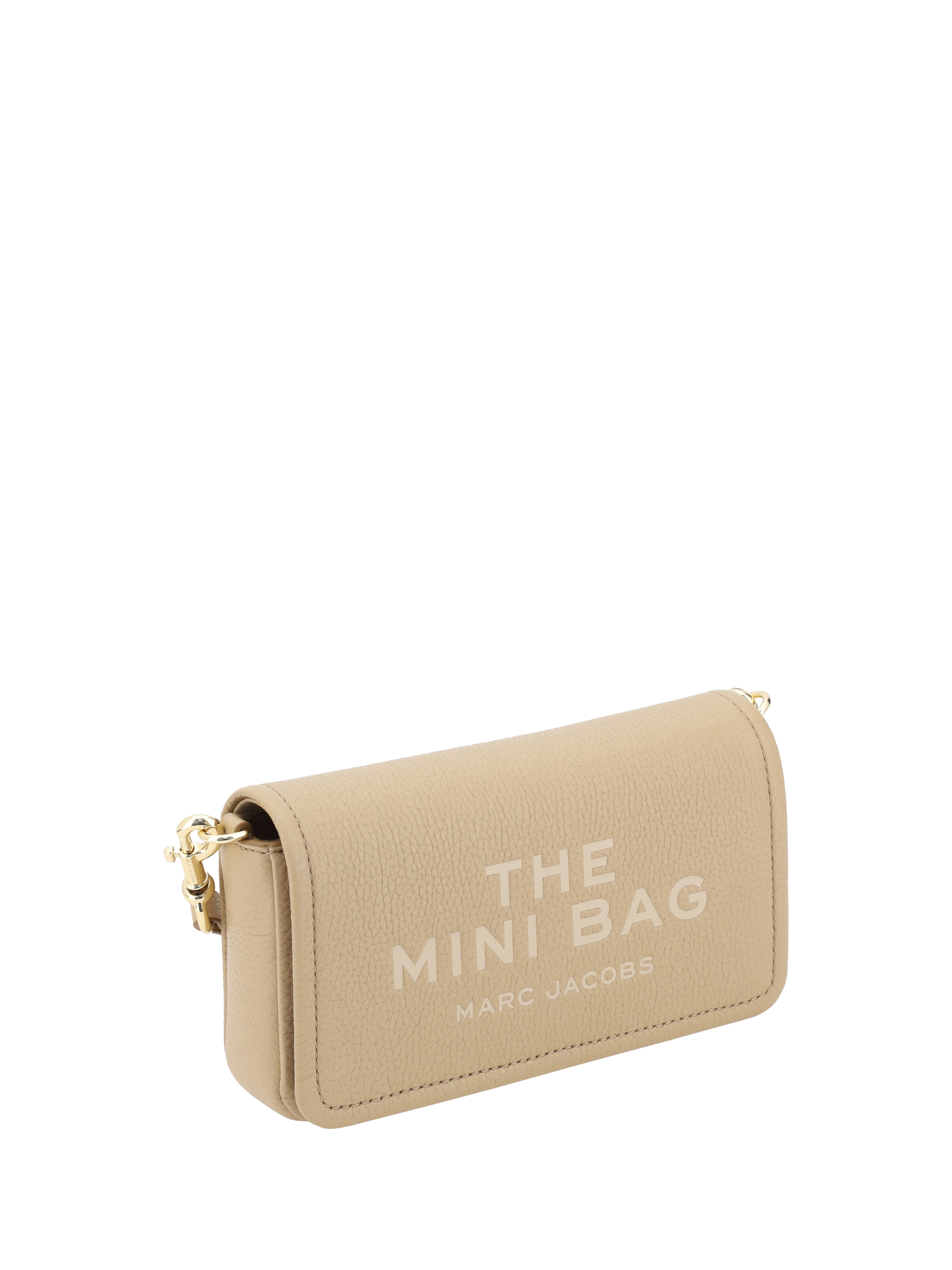 The Mini Bag Shoulder Bag