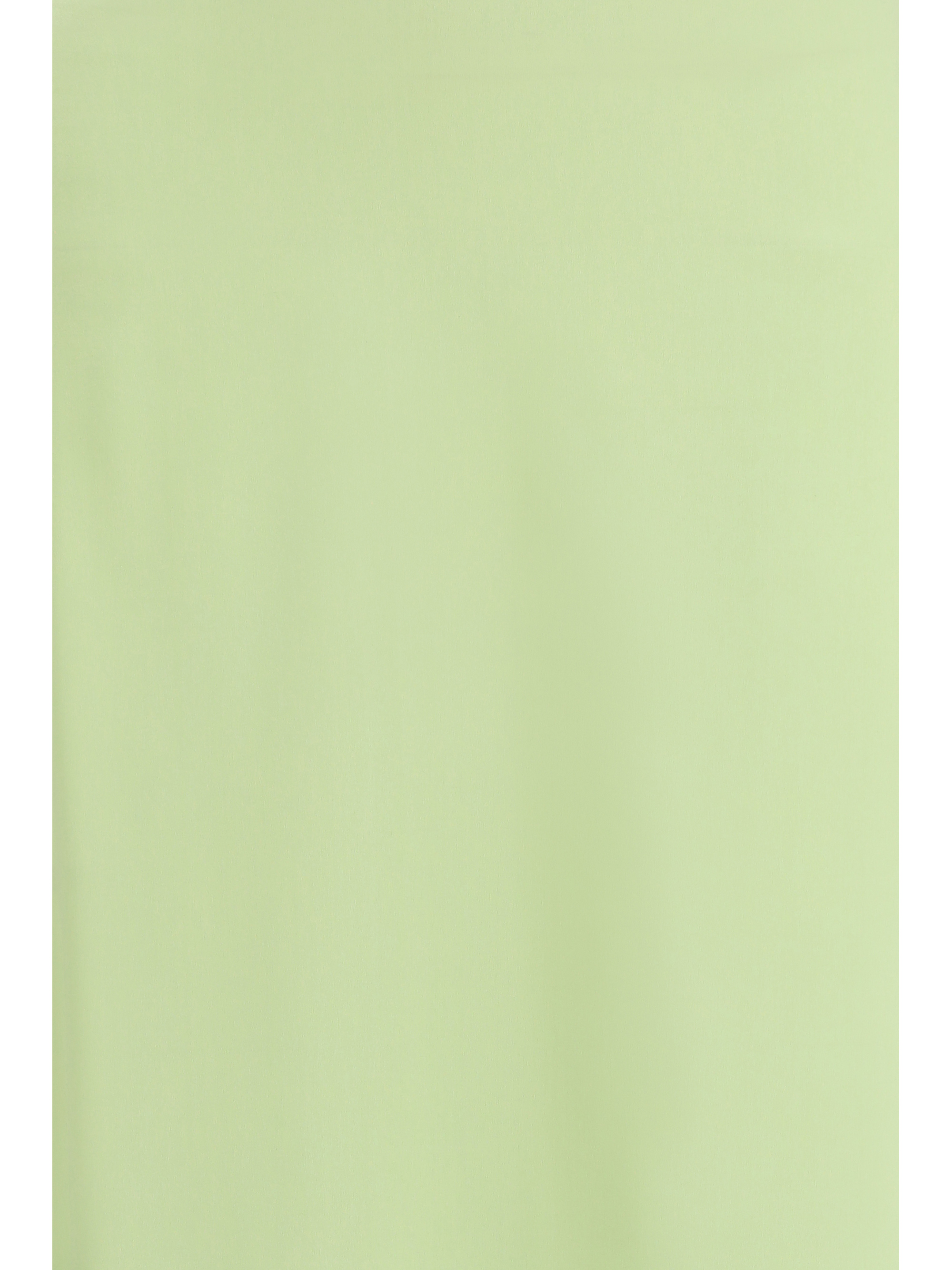 Classic long silk Skirt