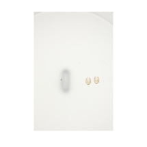 DIOR OBLIQUE HOOP EARRINGS