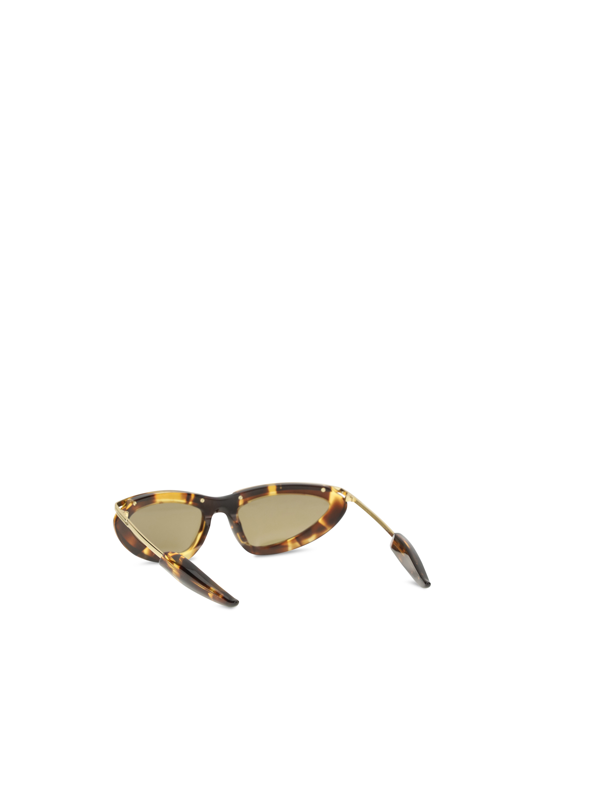 Prisma cat-eye Sunglasses