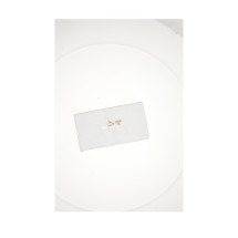 DIOR DAISY EARRINGS