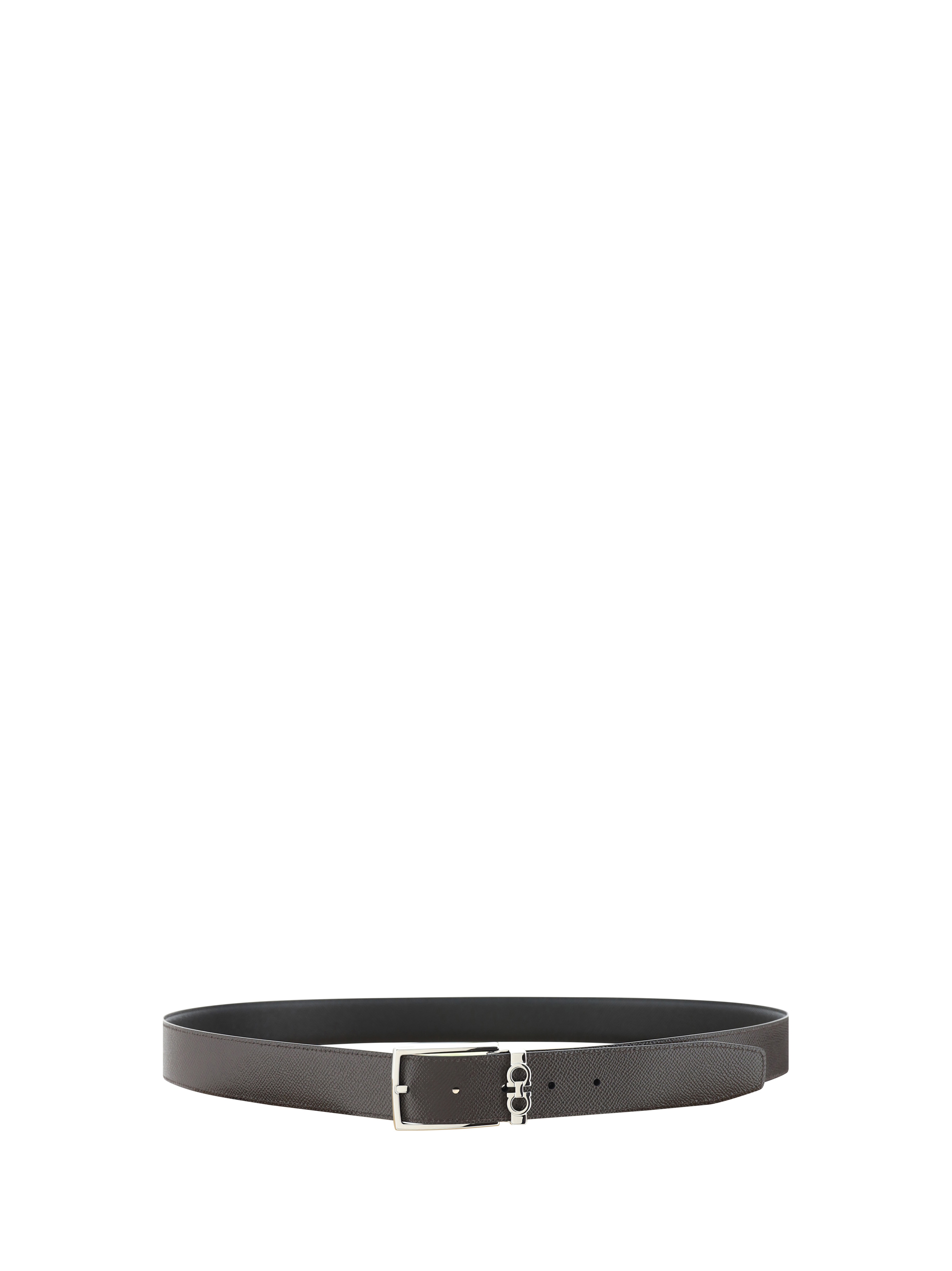Reversible Belt