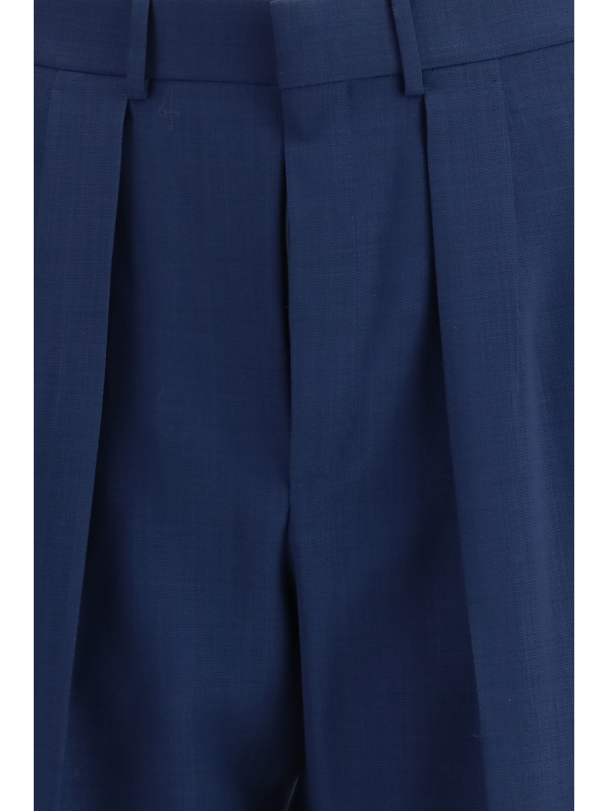 Pleated Pants