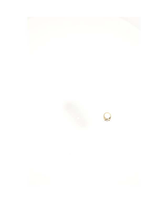DIOR ROCKS RING