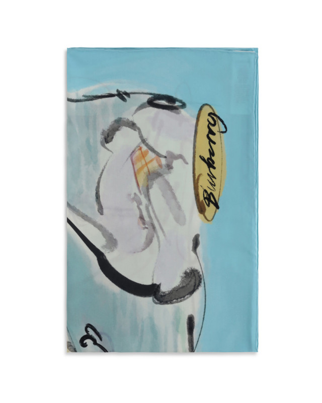 Swan lake silk Scarf