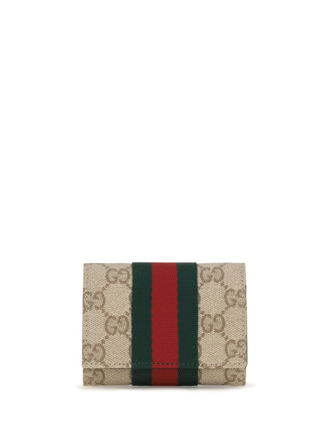 Web bi-fold Card Holder