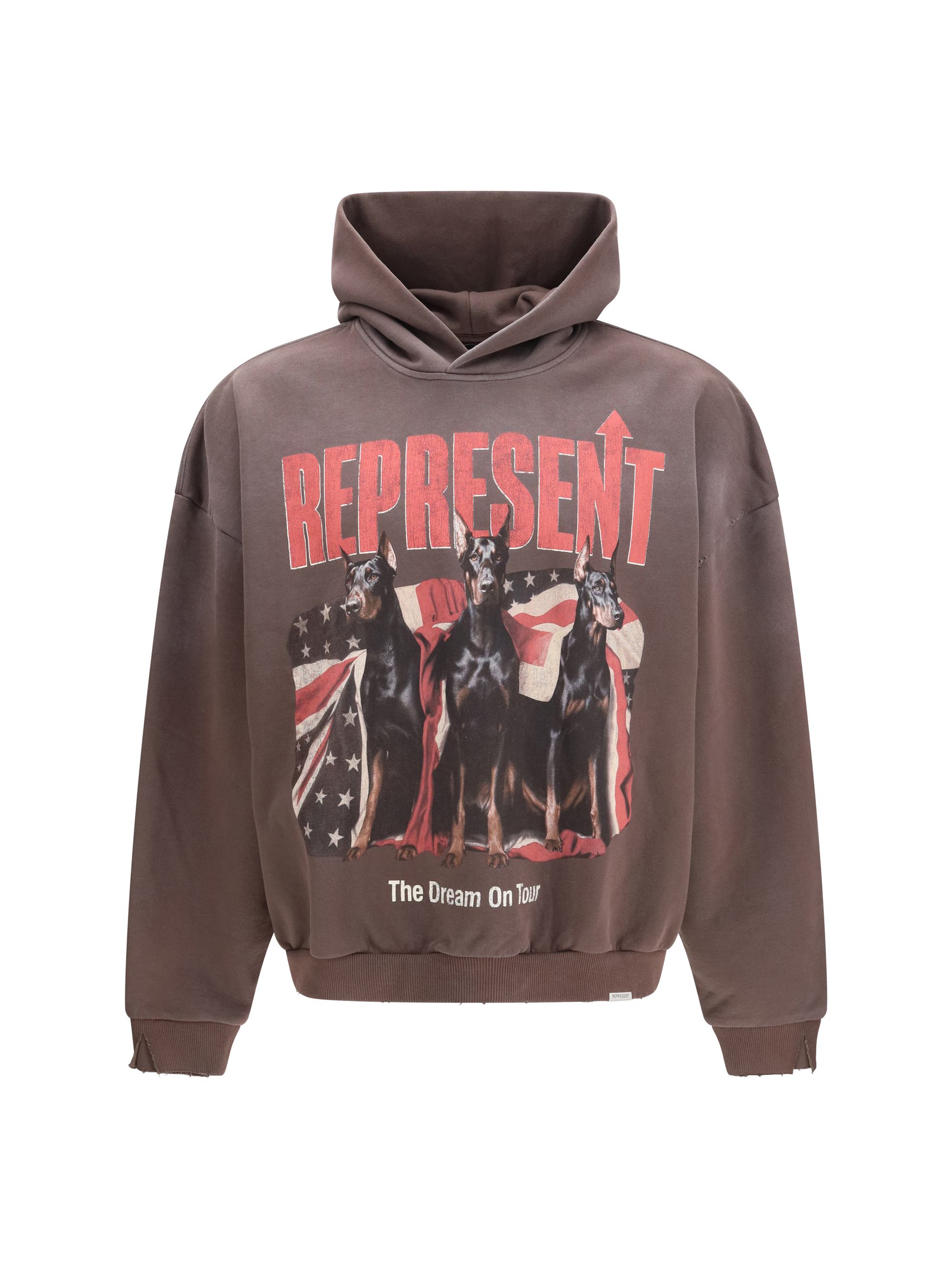 Dream On Tour Hoodie