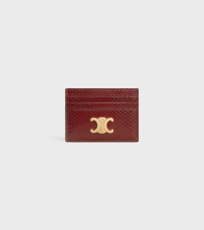 [Celine] Other Accessory SS26 10L834GXD