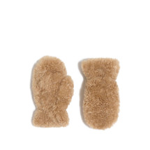 [Apparis] Glove FW26 F5GL074CM1