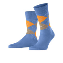 [Burlington] Socks FW26 21088