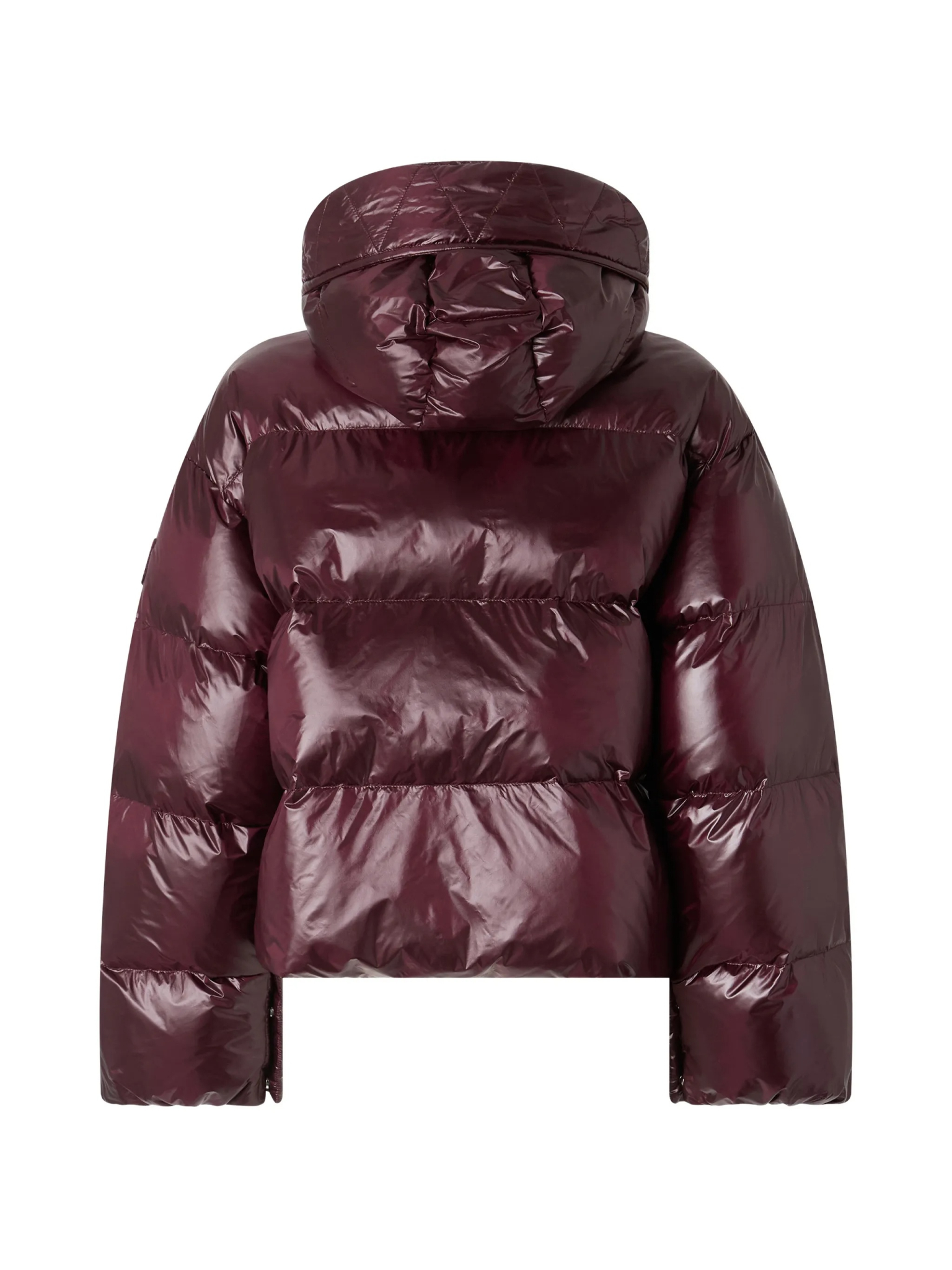 [PINKO] Down jacket FW26 105656 A3FI