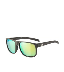 [ALPINA] Glasses FW26 A8662
