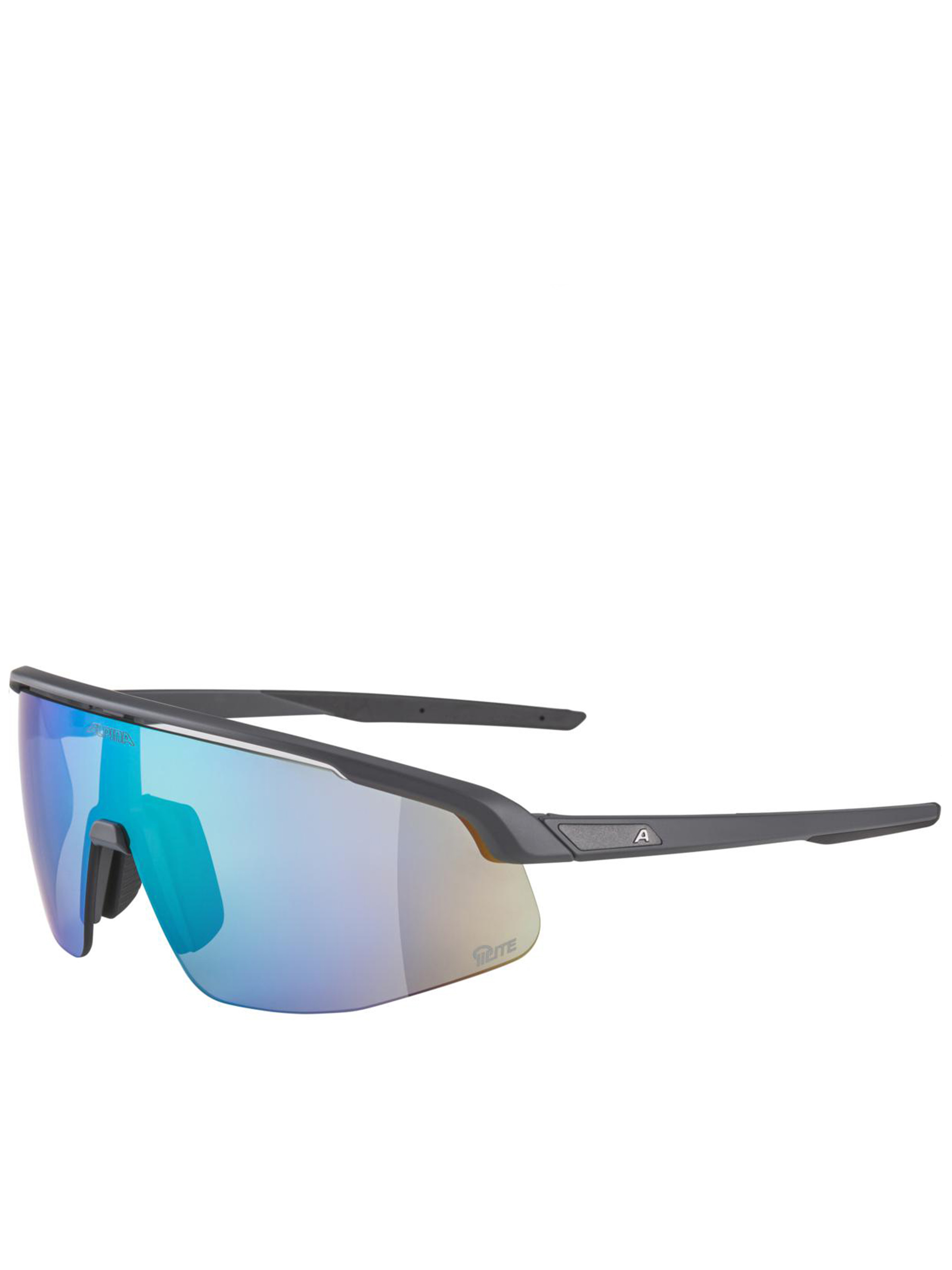 [ALPINA] Sunglasses FW26 A8749