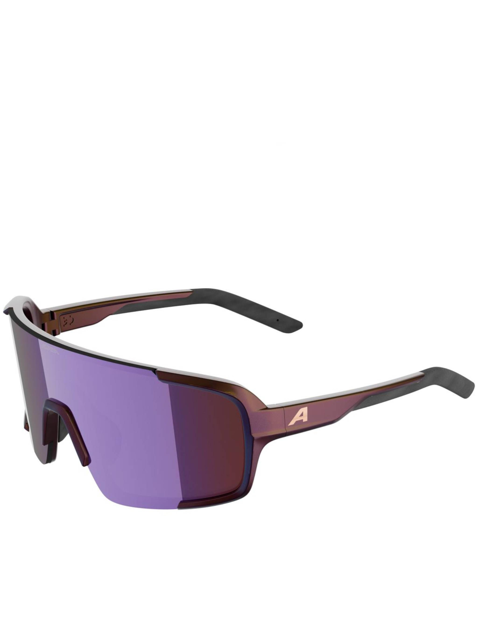 [ALPINA] Glasses FW26 A8767