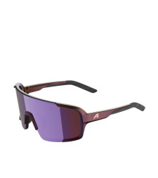 [ALPINA] Glasses FW26 A8767