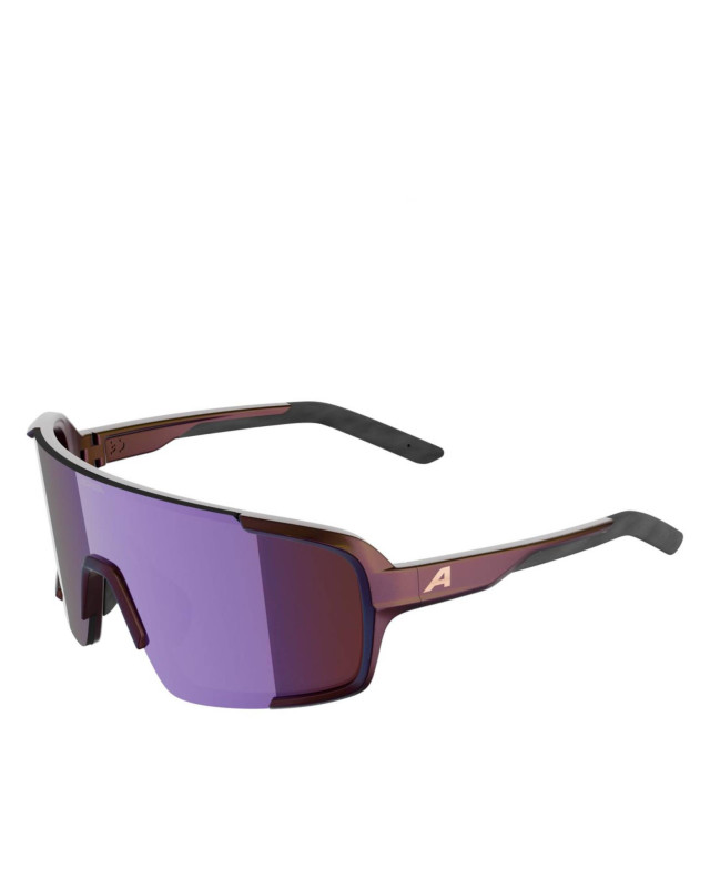 [ALPINA] Glasses FW26 A8767