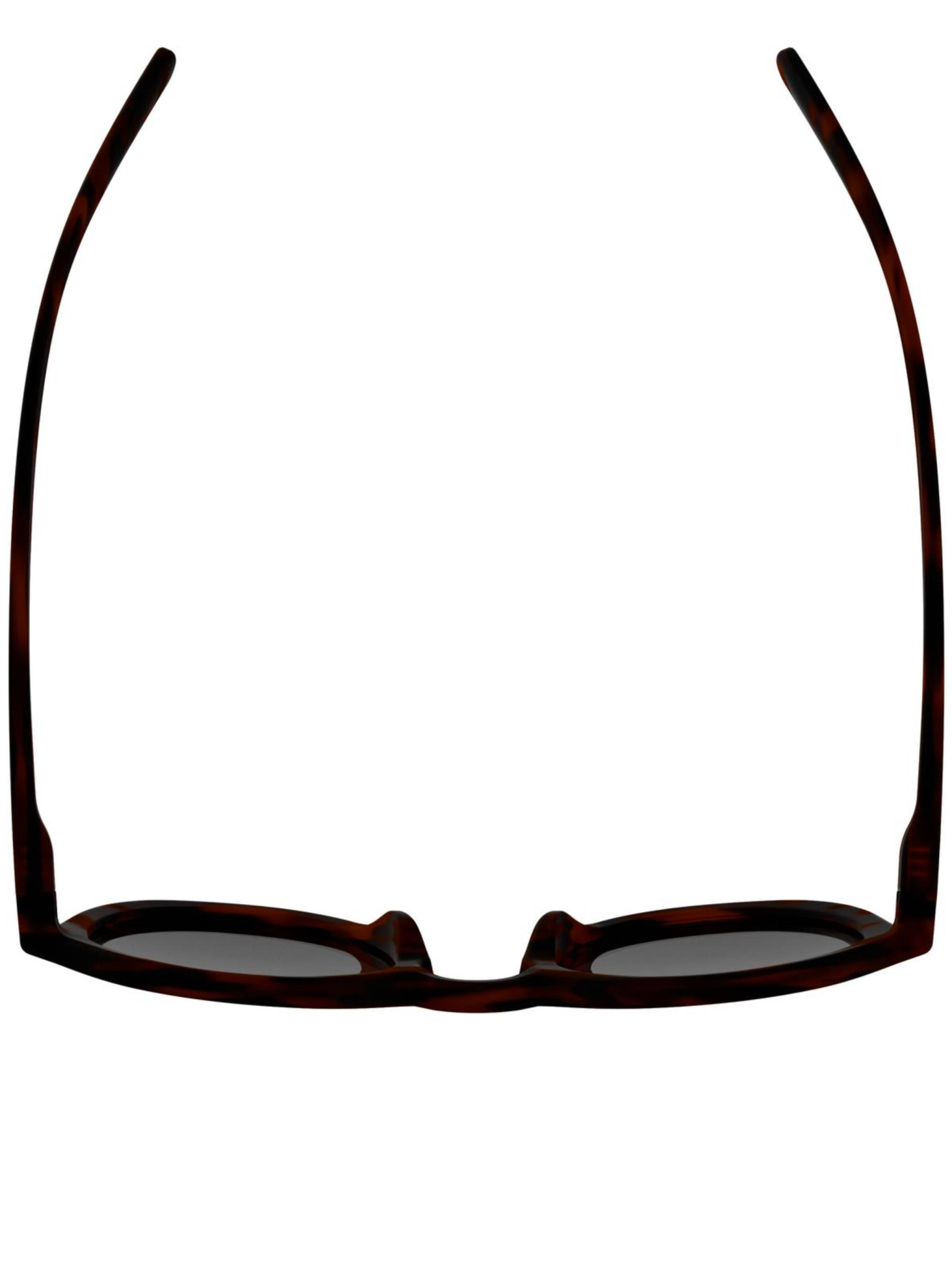 [ALPINA] Glasses FW26 A8768