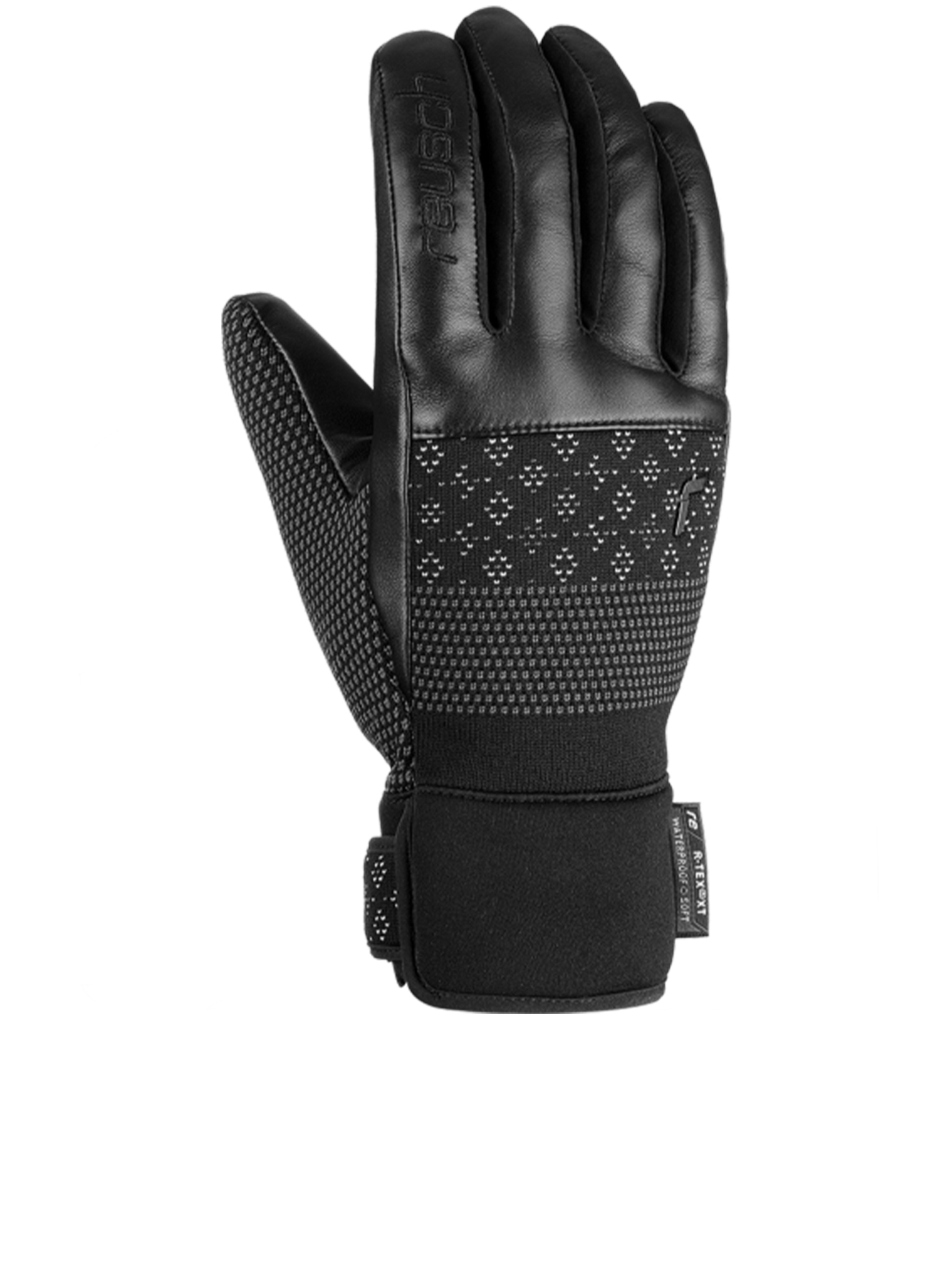 [REUSCH] Ski Gloves FW26 6131204
