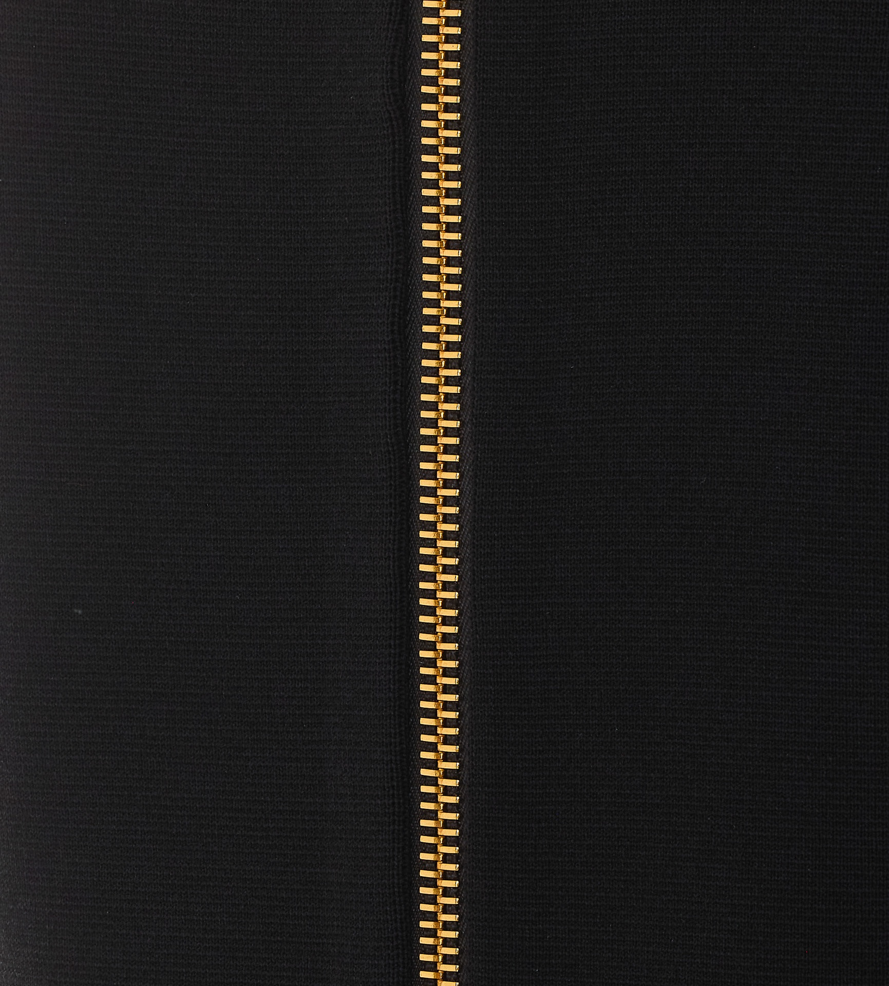 [ELISABETTA FRANCHI] Midi skirt FW26 GK28B66E2110