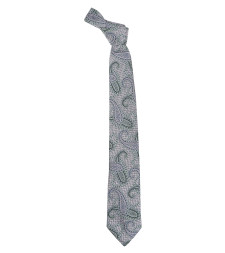 [Etro] Tie FW26 MASA0001 AQ220