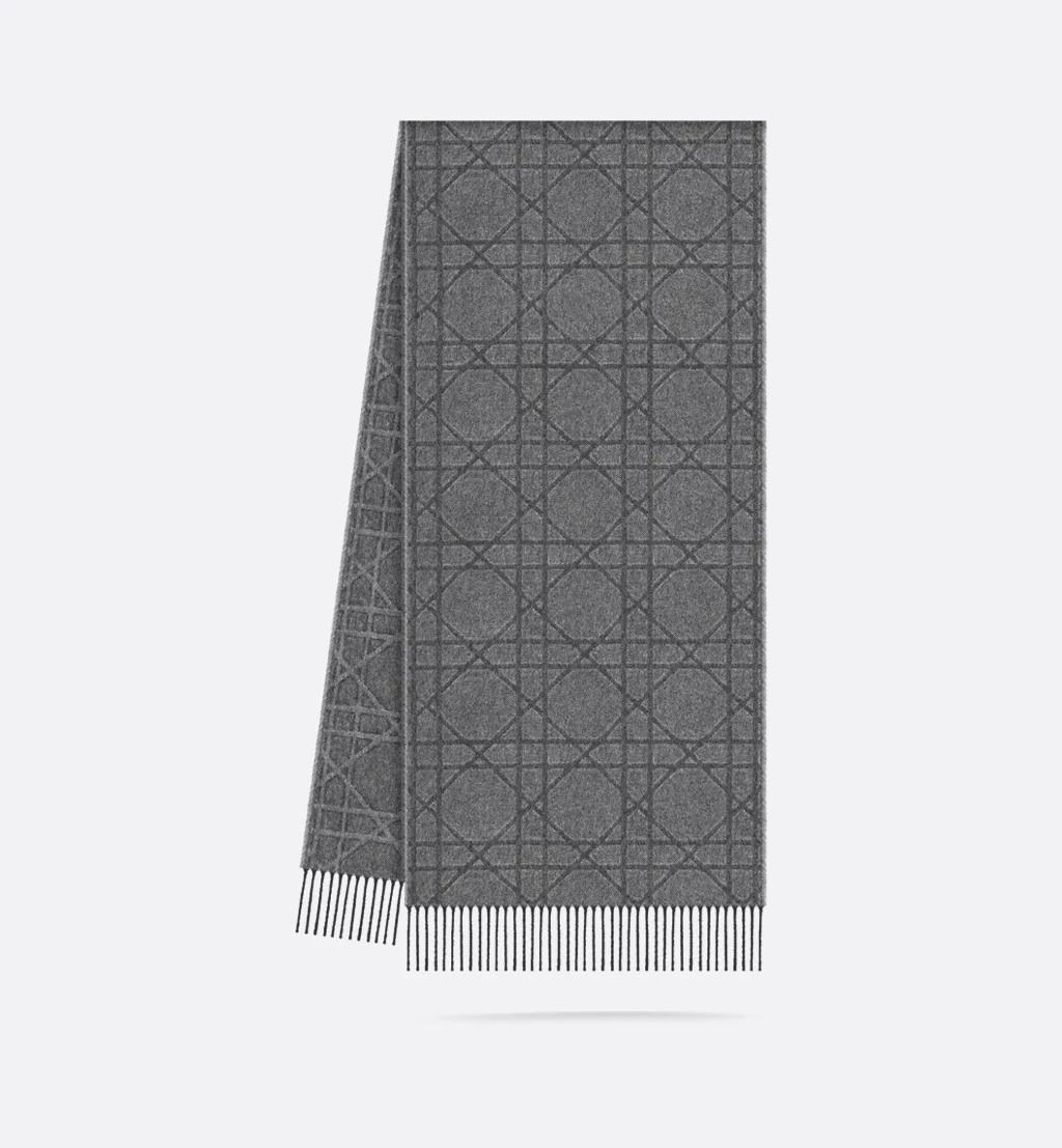 [Christian Dior] Scarf FW26 61E0004A0016