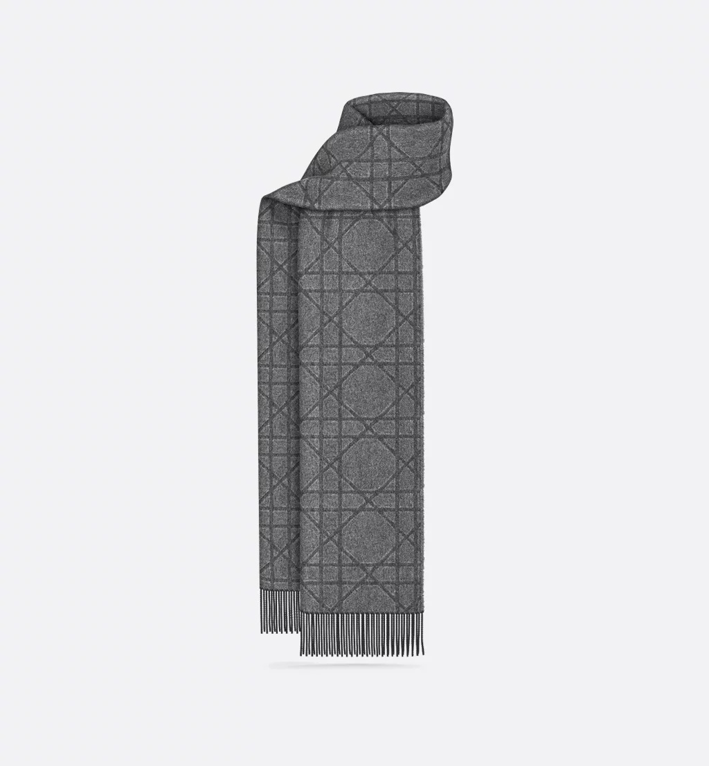 [Christian Dior] Scarf FW26 61E0004A0016