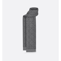 [Christian Dior] Scarf FW26 61E0004A0016