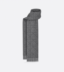 [Christian Dior] Scarf FW26 61E0004A0016