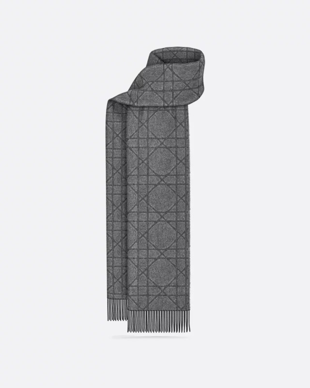 [Christian Dior] Scarf FW26 61E0004A0016