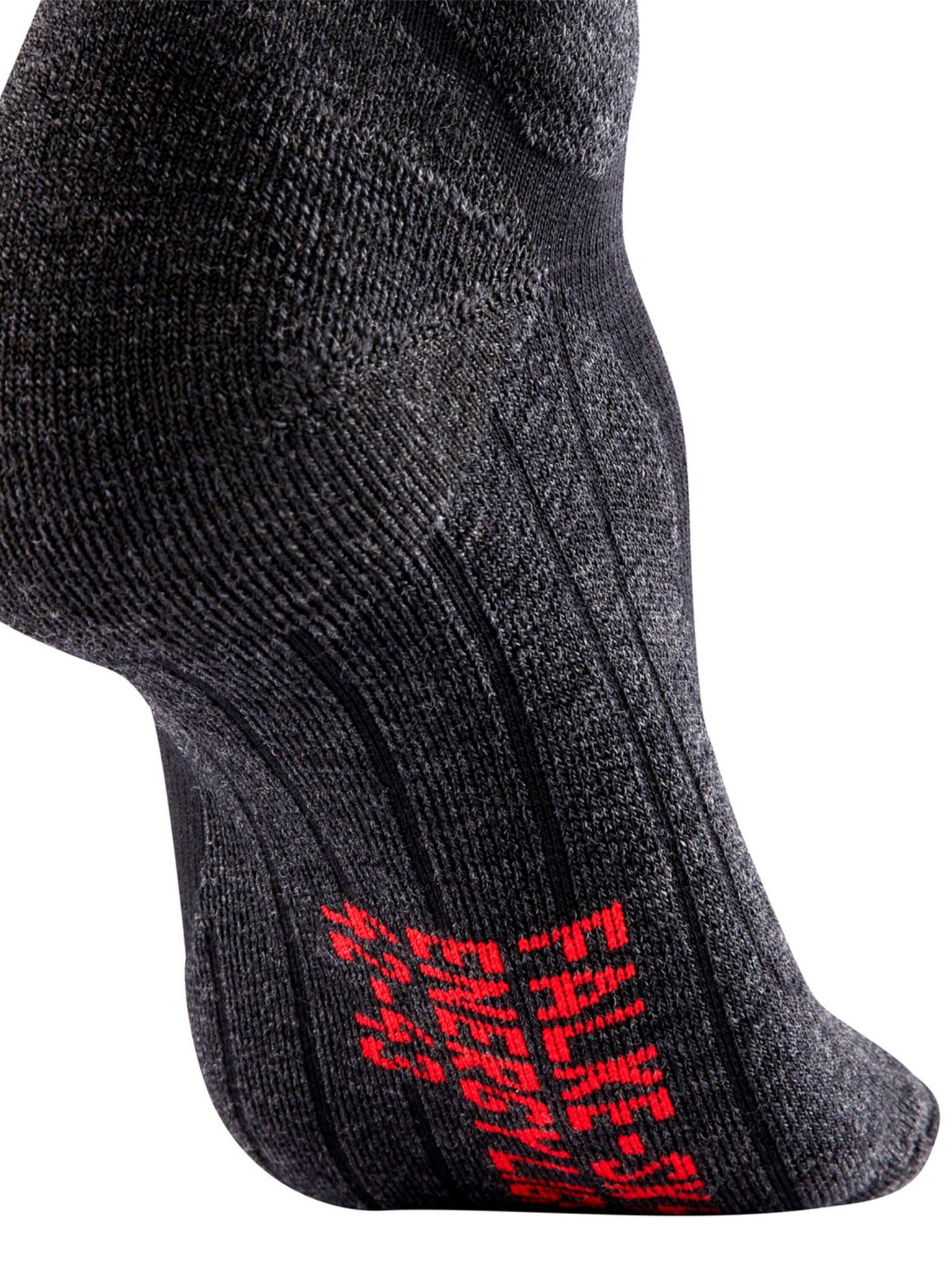 [FALKE] Socks FW26 16577