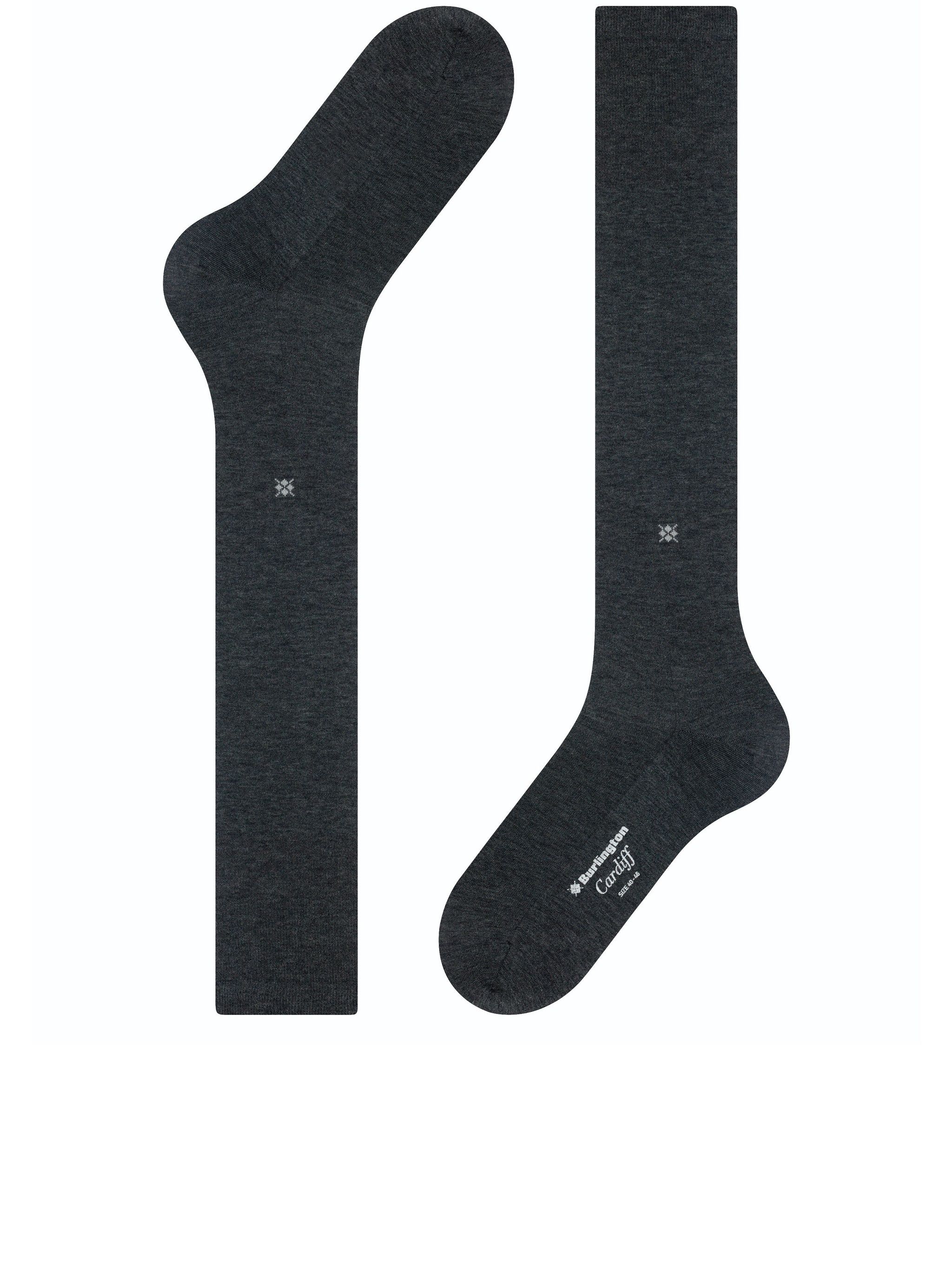 [Burlington] Socks FW26 21736