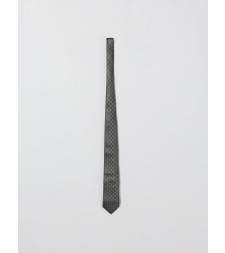 [Brunello Cucinelli] Tie SS26 MR8360018 C002