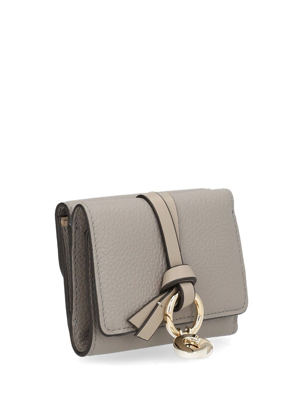 [CHLOE'] Wallet CO CHC21WP946F57053