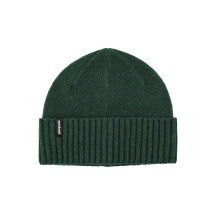 [Patagonia] Beanie FW26 29206TLGR