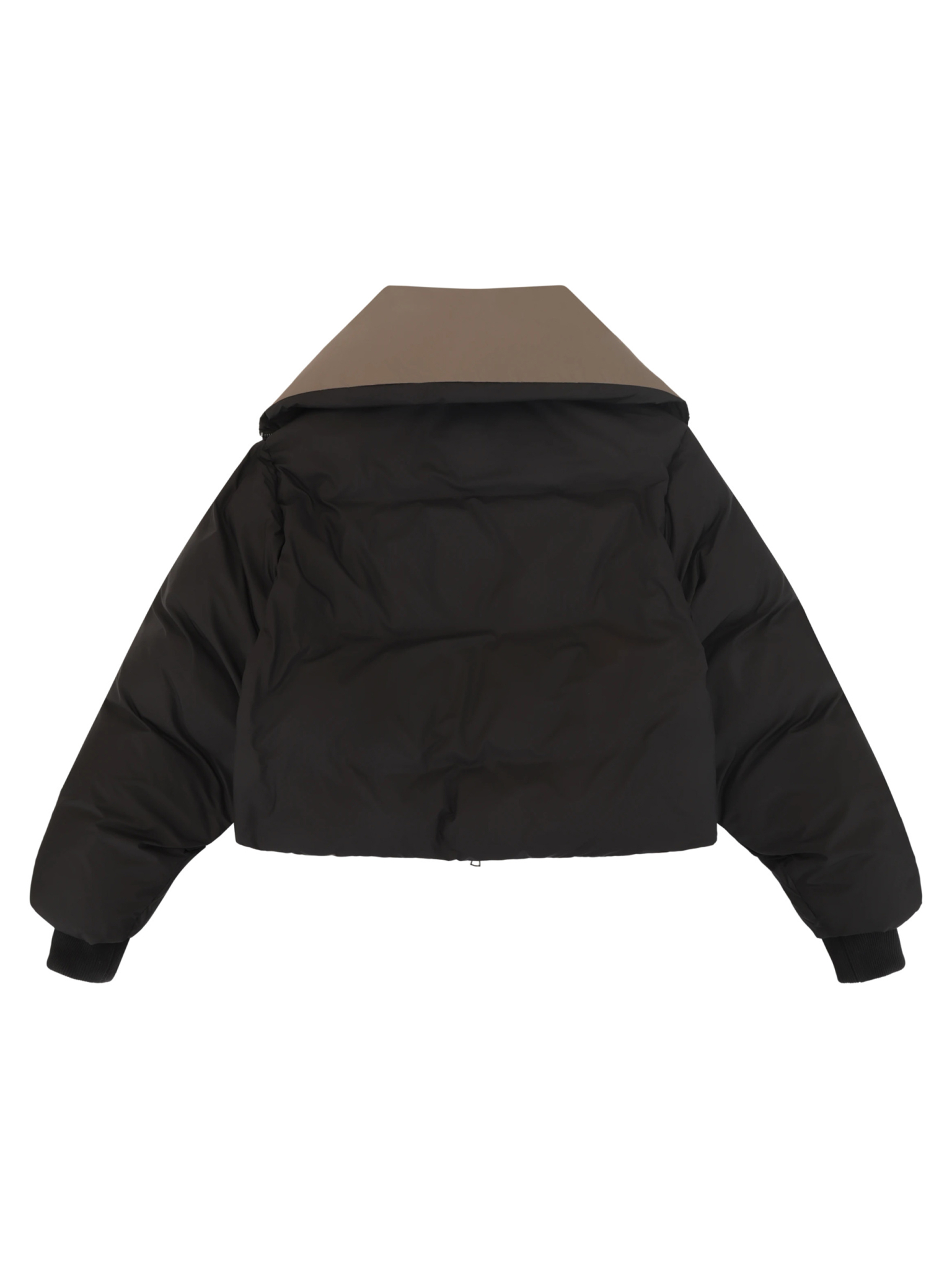 [Entire Studios] Down jacket SS26 ESSS26JA02016BLACKWOOD