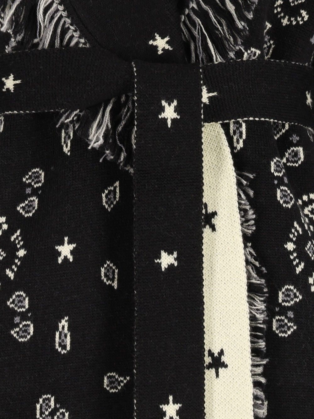 [Alanui] Knitwear CO LWHQ003E26KNI0041084