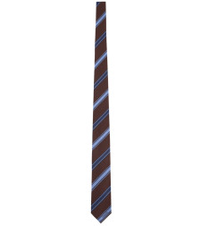 [Ferragamo] Tie SS26 789285_351357004