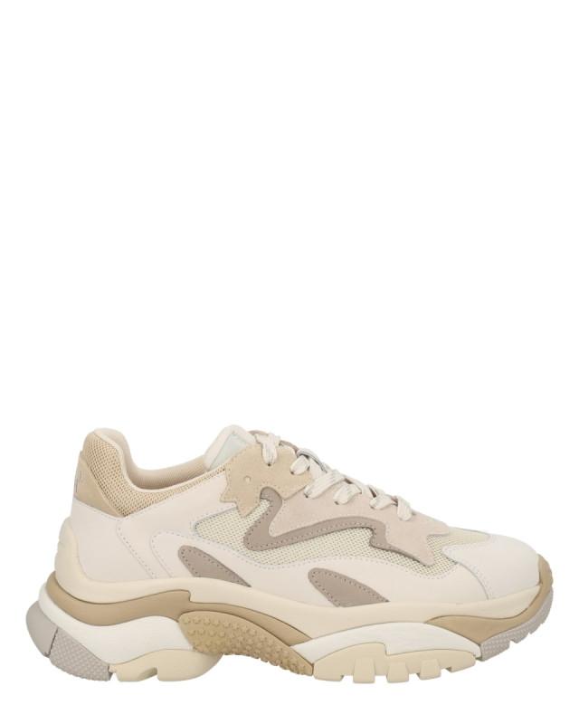 [ASH] Sneakers SS26 ADDICT01_TALC