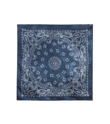 [Golden Goose] Scarf SS26 GUP01053_P00066750653